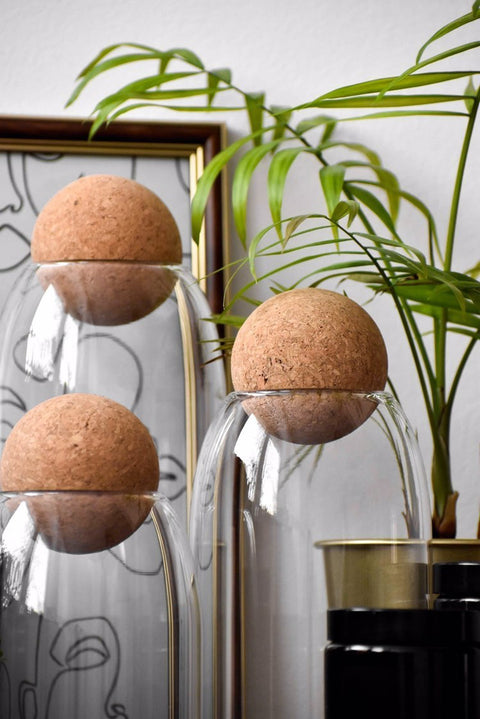 Premium glass jars with round cork lids