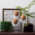 Cork and glass tapered storage jars made of borosilicate glass with a cork ball lid