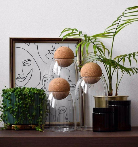 Cork and glass tapered storage jars made of borosilicate glass with a cork ball lid