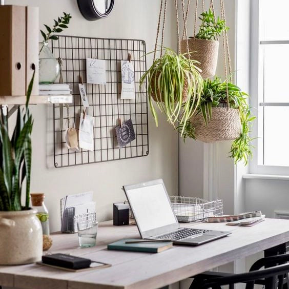 How to Set Up Your Home Office for Creative Productivity Using Biophilic Design.