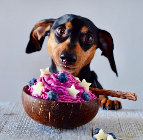 Cocobowl - Natural Coconut Bowl